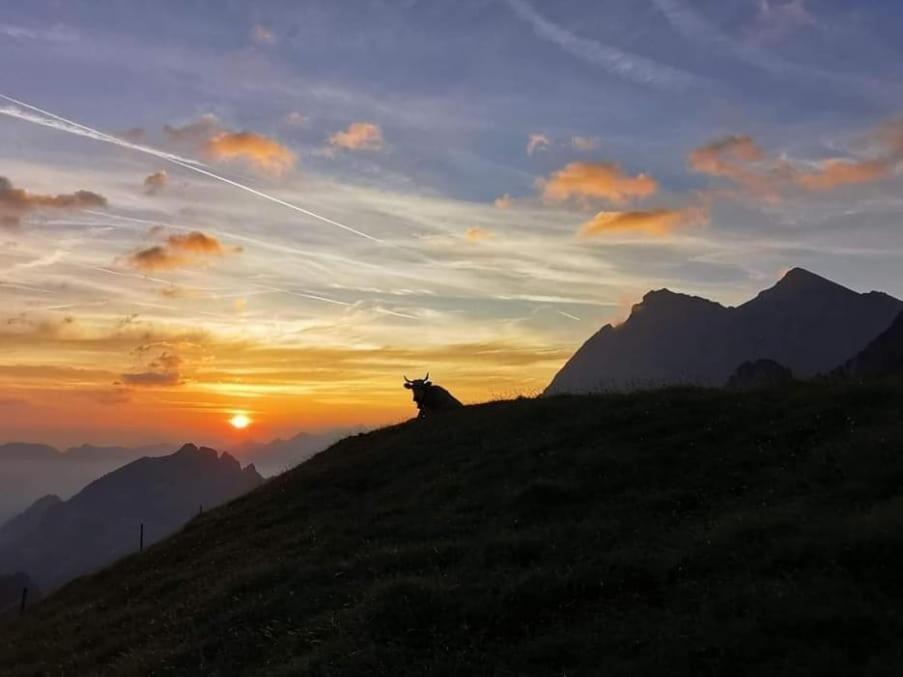 イゼンタールAlpenperleアパートメント エクステリア 写真